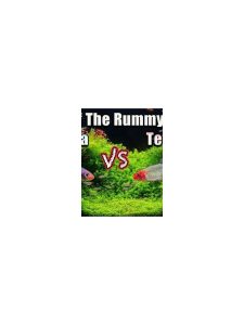 Rummy Comparison: Intuition Notes Versus Written Criteria
