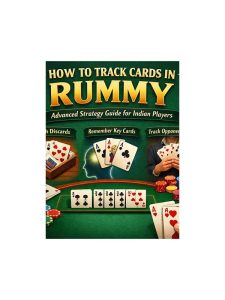 Rummy Guide: Track Information With a Small Memory Budget