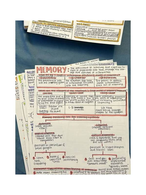 Comparing Rummy Study Notes With Memory-Only Review