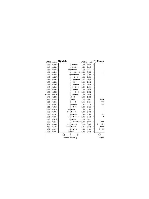 Rummy Comparison: Fixed Checkpoints Versus Continuous