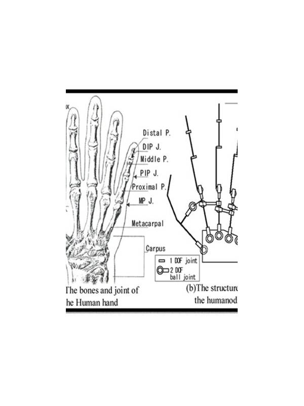 Rummy Comparison: Fixed Hand Structure Versus Adaptive Structure